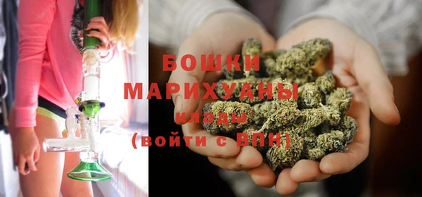 крисы Слюдянка