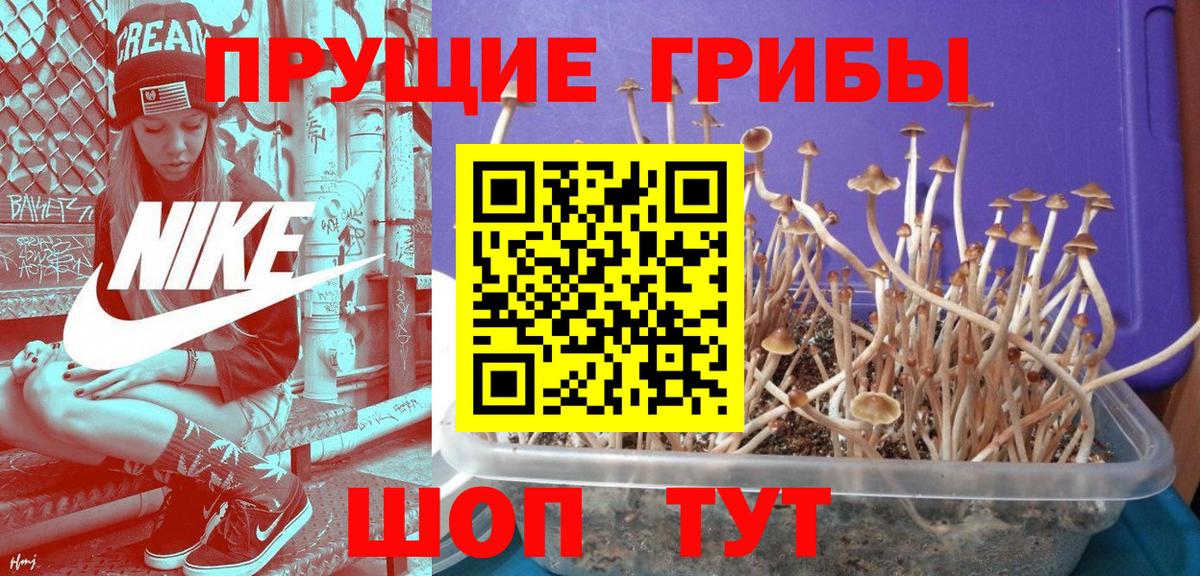 Галлюциногенные грибы Magic Shrooms  Вход с VPN  Назарово 